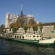 Paris by Boat - A cream and green canal boat sails on the Seine in Paris, with Notre Dame Cathedral and trees visible in the background.